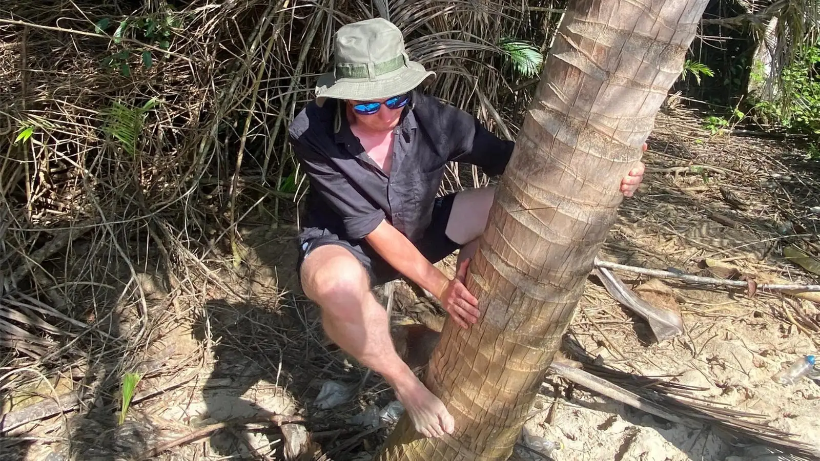 Tim Jambor climbing a palm tree barefoot
